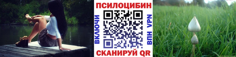 Псилоцибиновые грибы Psilocybine cubensis Ясногорск
